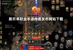 新开单职业传奇最大揭秘技能名称与游戏心得