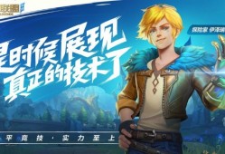 选择的英雄自己的职业