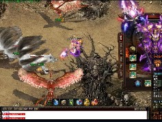 新的网站上面会有更多新的版本