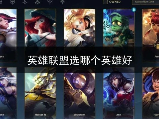 选择的英雄自己的职业