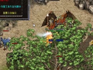 传奇私服土豪原来可以拥有这么多的特权